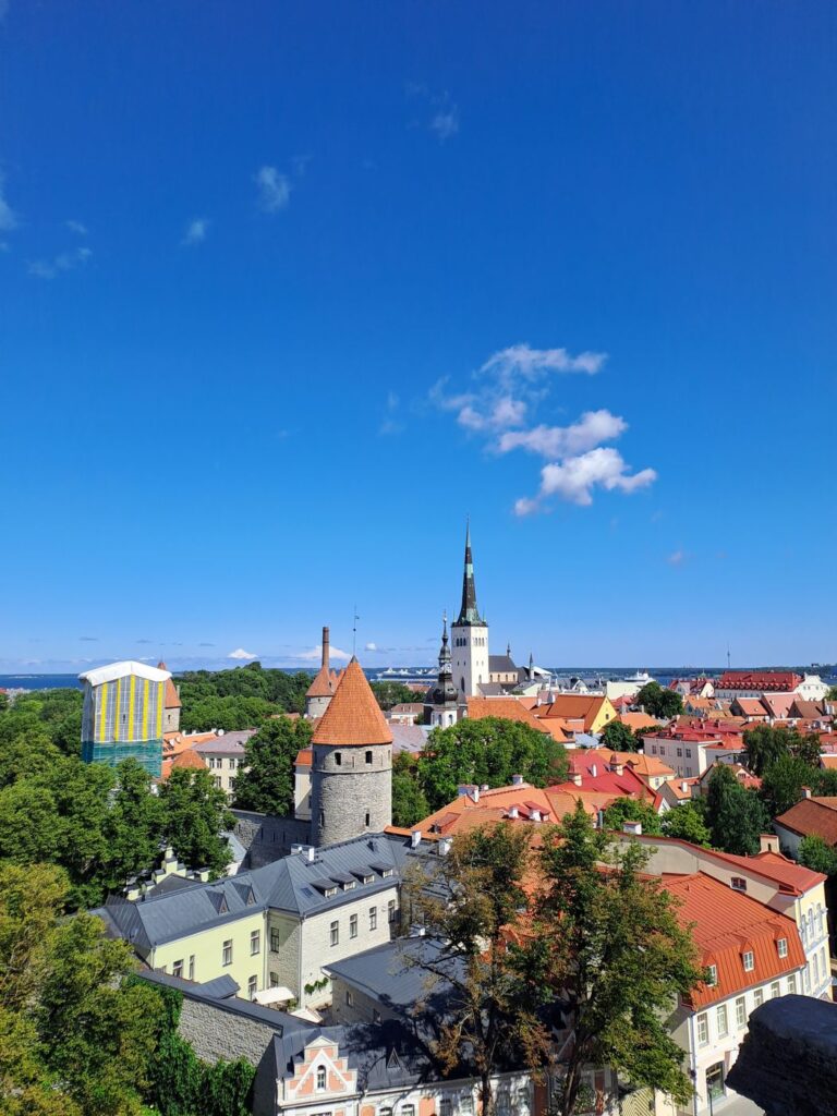 I tetti rossi della città vecchia di Tallinn visti dall'alto